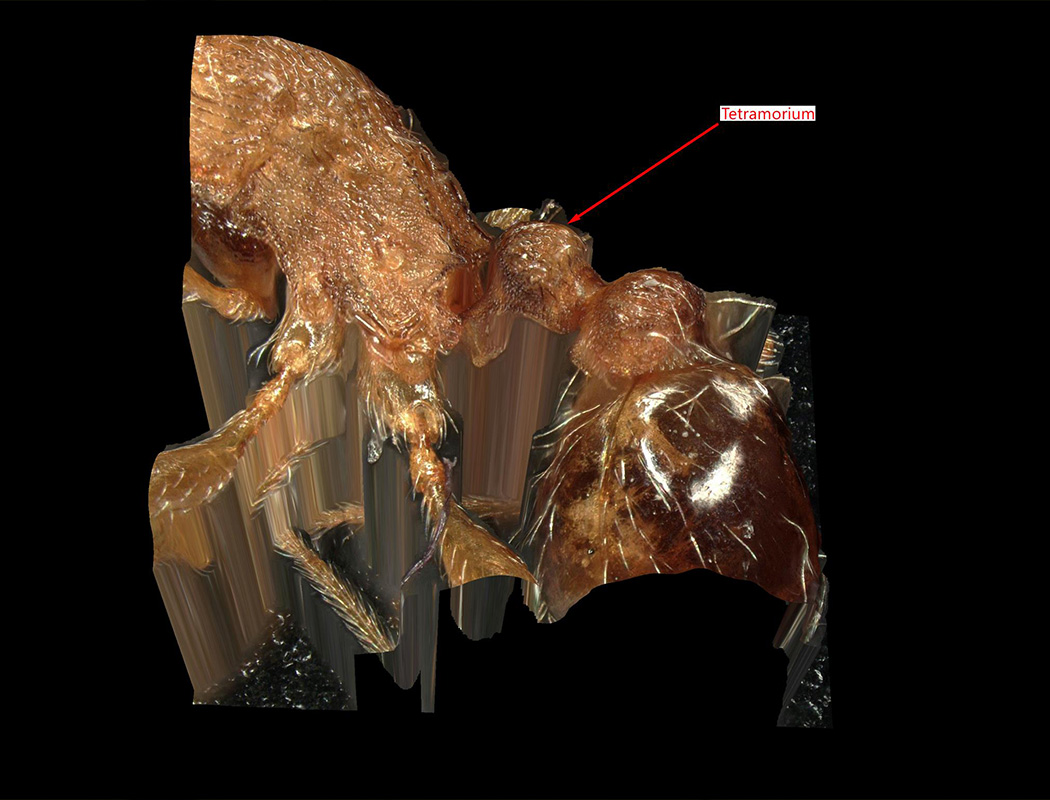 BIOSISTEMI-img-biolab-4