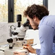 BIOSISTEMI-disinfestazioni-legnano-2