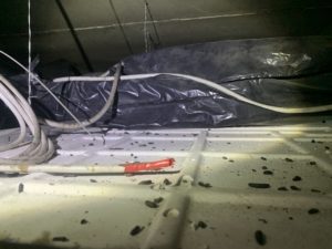 Immagine che rappresenta le feci di topo in un contesto aziendale