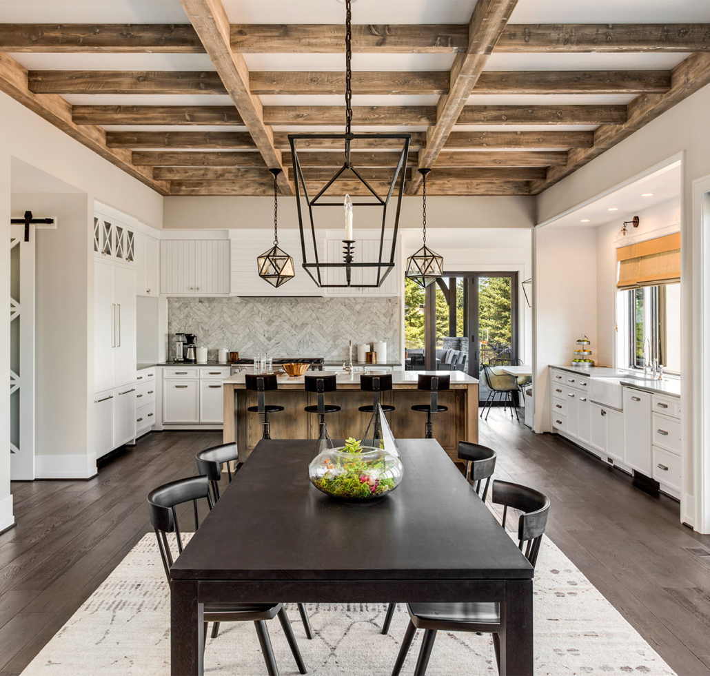 BIOSISTEMI-img-formiche-1