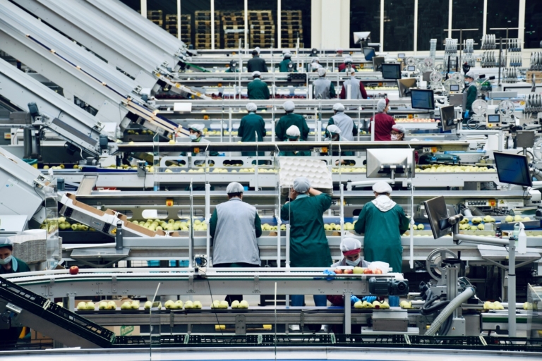 Impatto Infestanti nell’Industria Alimentare