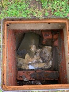 Immagine di Blatte Orientalis o Scarafaggio Nero che infestano un tombino